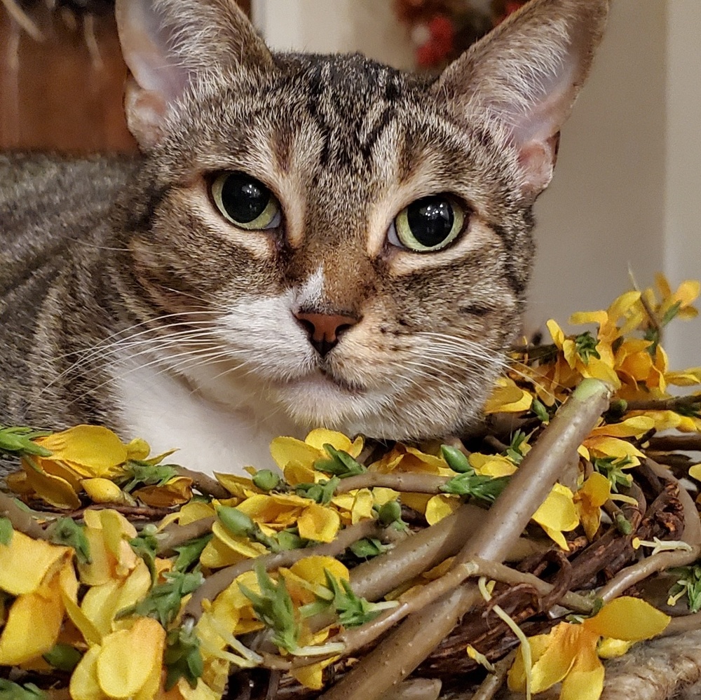 Meet your Posher, Jenny